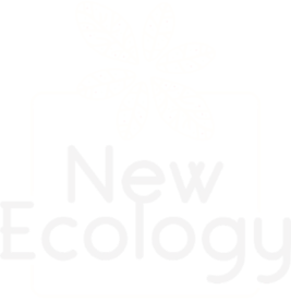 New Ecology