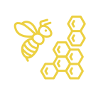 Inventario de biodiversidad en abejas